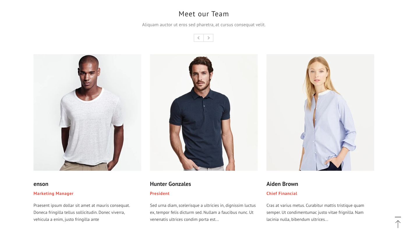 Section Show - Team Members