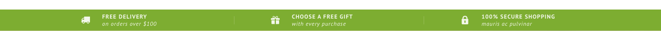 Section Example - Text with icon