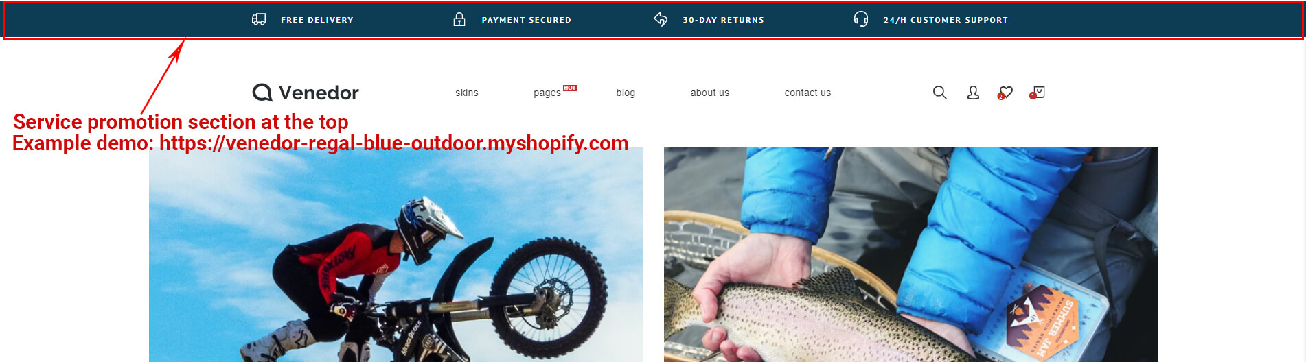 Topbar promotion section example