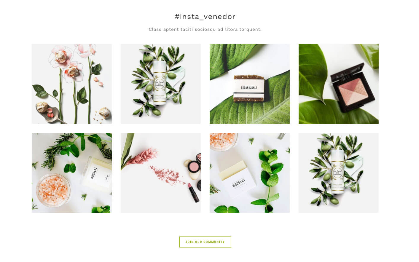 Instagram Section Style - Grid